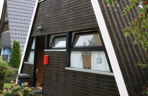 Damp House | On the street of dreams