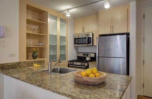 Financial District Apartment | One Bedroom in Luxury Building, near Wall Street