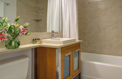 Financial District Apartment | One Bedroom in Luxury Building, near Wall Street