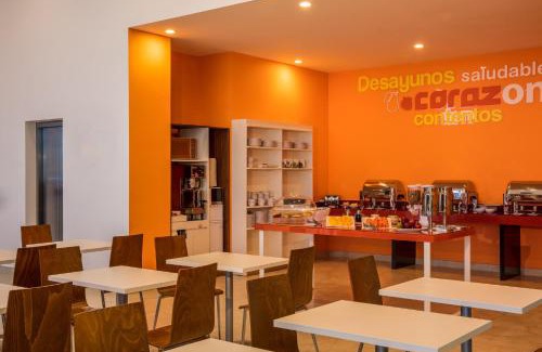 Chihuahua Hotel | One Chihuahua Fashion Mall