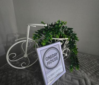Subotica Apartment | OneDay Apartment