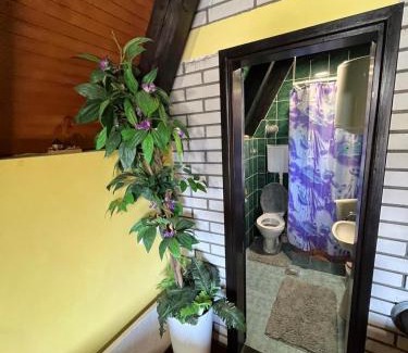 Mitrovac House | ooooo niooo