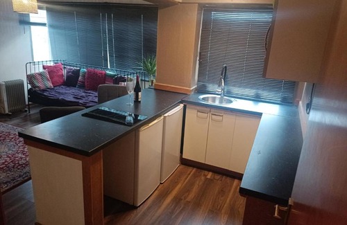 Shawlands Apartment | Open space studio in Shawlands