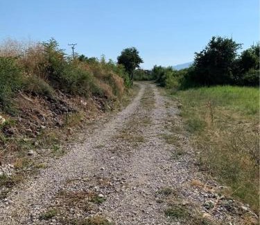 Shkoder County Other | Opened landspace for vehicles and persons to camp