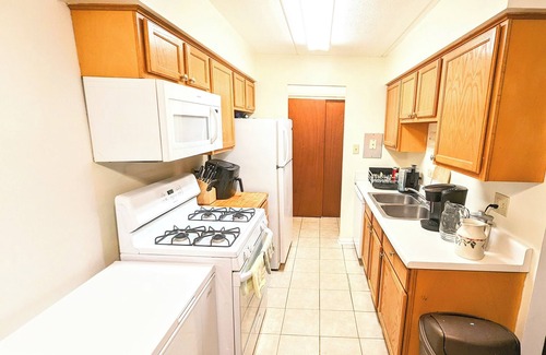 Mount Prospect Apartment | OpulentUrban Retreat: Luxe Living