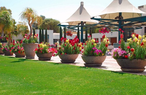 Paradise Valley Village Condo | Orange Tree Resort 1br unit, Friday check-in