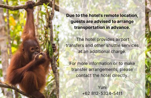 Kalimantan Cabin | Orangutan & Restoration Camp