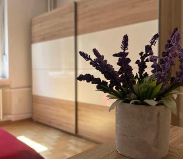 Palilula Apartment | Orchid House