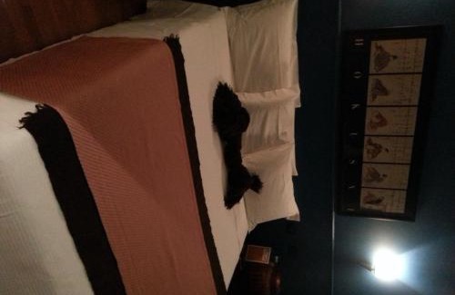 Orzivecchi Hotel | Orzihotel