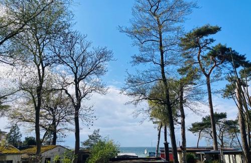 Am Salzhaff Apartment | Ostsee-Gutshaus Am Salzhaff Pepelow nähe Rerik- am Meer residieren!