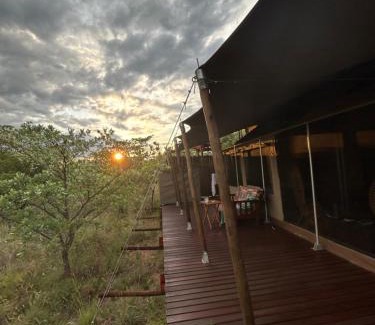 Hammanskraal Resort | Out in Africa Wildlife Lodge
