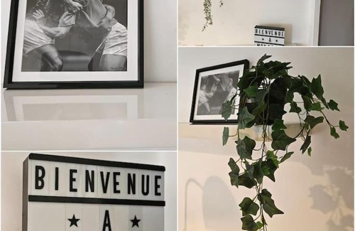 Estanove Apartment | Ovalie ! Spacieux T3 lumineux