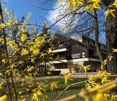 Nyiregyhaza Hotel | Ózoon Hotel