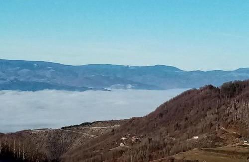 Lisina Apartment | Pčelica L15 Milmari