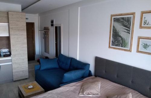 Lisina Apartment | Pčelica L15 Milmari