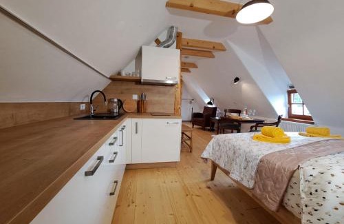Cesky Krumlov House | Pětidomí 88 - Rožmberská