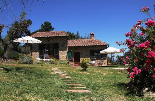Montepulciano House | Pacifico