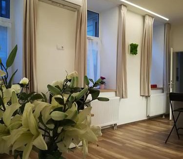 Ujlipotvaros Apartment | Pacman Apartment