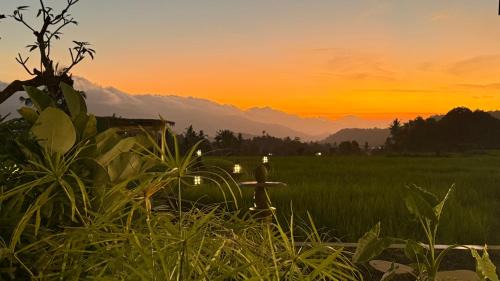 Munduk Villa | Padiuma Cabins