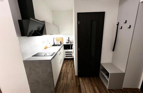 Olomouc Apartment | Palackého Lobby Apartment