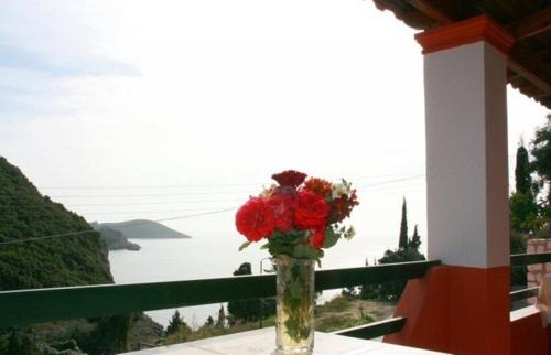 Paleokastritsa Apartment | Paleopalace