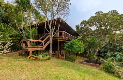 Palm Beach House | Palm Beach House- Up in the trees