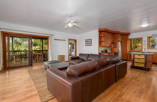 Palm Beach House | Palm Beach House- Up in the trees