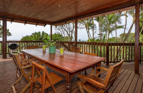 Palm Beach House | Palm Beach House- Up in the trees