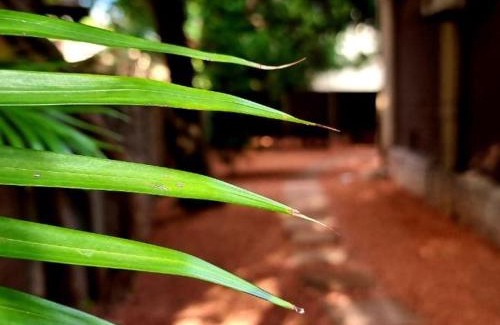 Lephalale House | Palm Inn Guesthouse