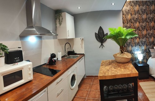 Torremolinos City Centre Apartment | Palm View Apartment. City center with sea views