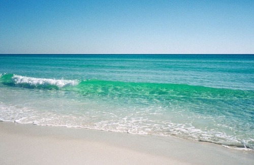 Fort Walton Beach - Destin Resort | Palms of Destin #1516 with a view.