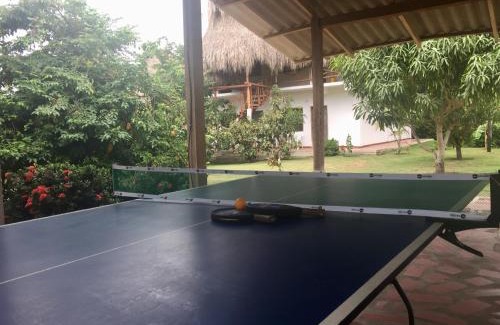 Palomino House | Palomino Breeze Hostal