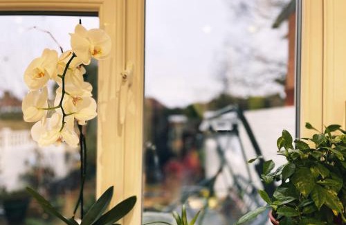 London Borough of Ealing House | Pamela's Place