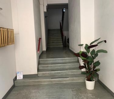 Pisa City Centre Apartment | Pampero & Catona House