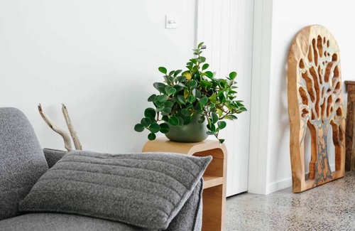 Brunswick Heads House | Pandanus Paradise House
