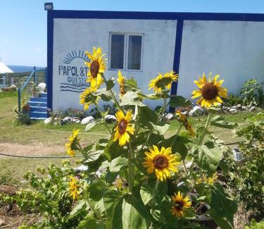 Coromandel House | Papol et Tella guesthouse