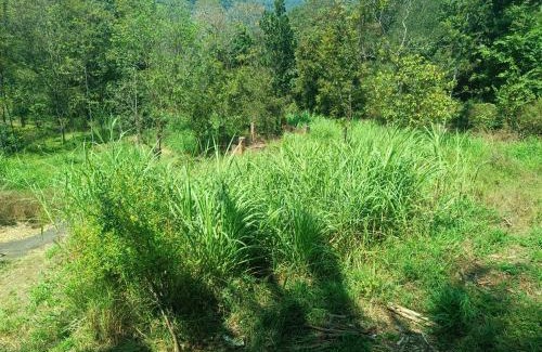 Kanthalloor House | Paradise Homestays, Kanthalloor