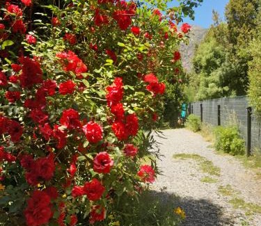 Villa Arelauquen House | Paraiso Bariloche