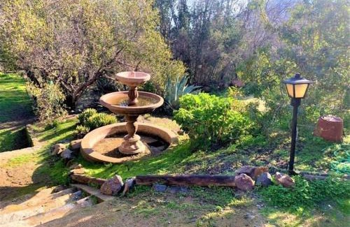 Olmue House | Parcela entre árboles nativos