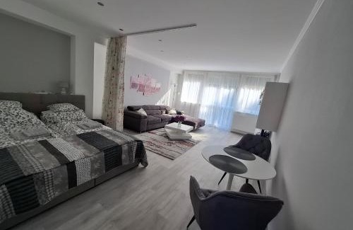 Kaposvar Apartment | Park Apartman