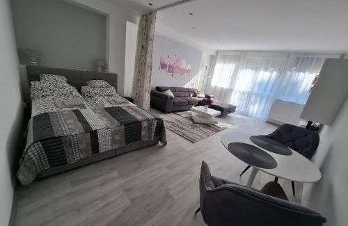 Kaposvar Apartment | Park Apartman