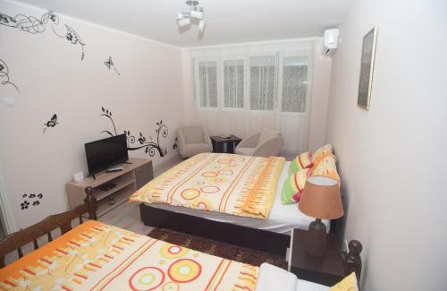 Arandelovac Apartment | Park Apartman