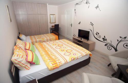 Arandelovac Apartment | Park Apartman