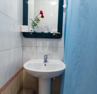 Mali Radic Hotel | Park Hotel