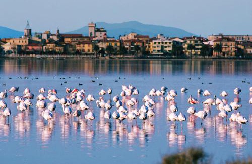 Orbetello Hotel | Park Hotel Residence