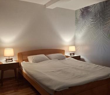 Lazarevac Apartment | Park