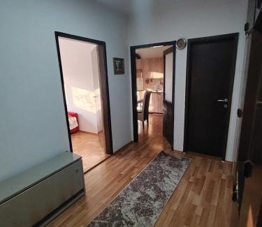 Mladenovac Apartment | Partenon