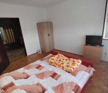 Mladenovac Apartment | Partenon