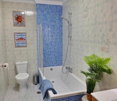 Pontevedra Old Town Apartment | Pasanteria apartments