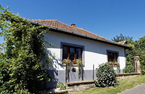 Tarcal Bed & Breakfast | Pataky Borporta